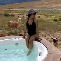 traveldesigner.pe