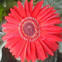 frases.motivadoras72