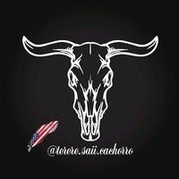 terere.saii.cachorro