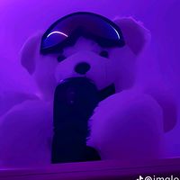 leonardobotson832