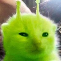 hello_kitty_lover533