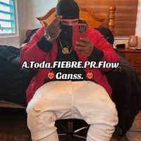a.toda.fiebrepr.flowgans