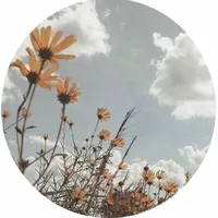 original sound - speed.songs.cz.sk