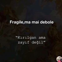 orijinal ses
