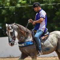 fabinhovaqueirooficial