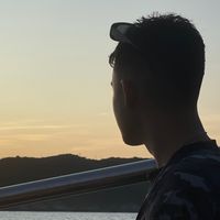 sosvinii