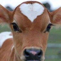 เสียงต้นฉบับ - หนุ่มนา บันเทิง😀😀