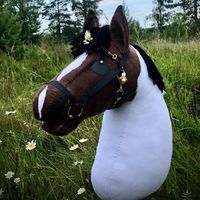 hobbyhorses42