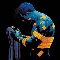 brucewaynesbookshelf