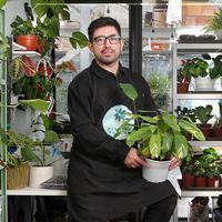 plantasyungay