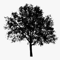 _the_minimalist_mama_