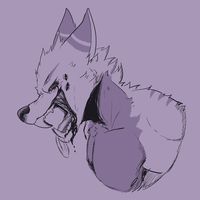 wiliamlefox