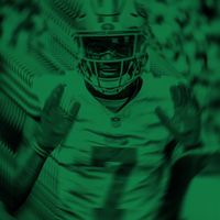 flock49ers_13