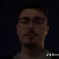 elvedinlesevic