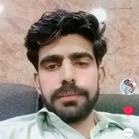 d.s.arman1