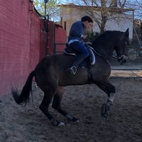 juanantoniomurosf
