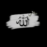 mohidwrites