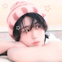 skz.han.bri