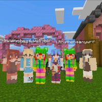 _minecraft.servidor_