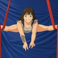 aerialvikinga