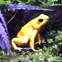 wildnature243