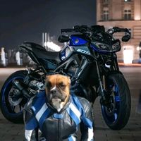 la_gn.125