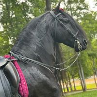 rancho5estrellas_336