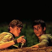 dylmas.newtmas2930