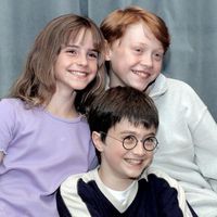 weaspotter