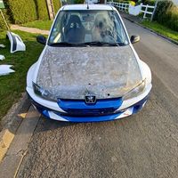 the_crazy_driver