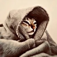 original sound - riyaney23