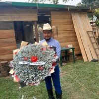 cesaryovani