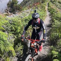 suara asli - Mart Electronik