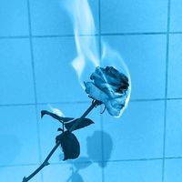uma_aleatoria__2