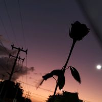 ana.nah_mis