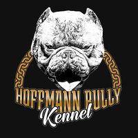 hbkbulllyhoffmannkennel