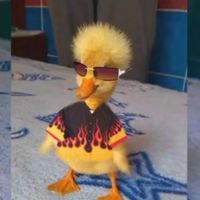 ligth_yagami_shiposter