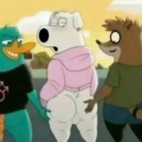 the.real_damiangreen