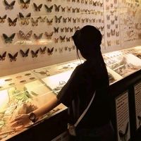 suara asli - D H E A