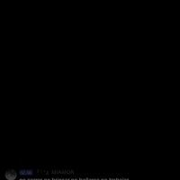 juanluis_pollito