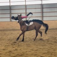 fiona..eq
