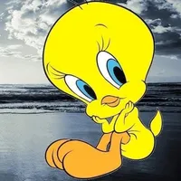 original sound - oax_mx