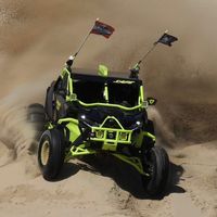 official_savage_sage