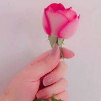 niloofar.danish6