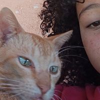 vivianapaulaxavie
