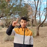 الصوت الأصلي