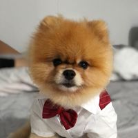 30408536913miki