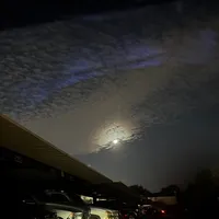 original sound - monica.ml7