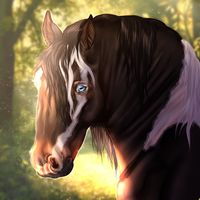 lcstables_official