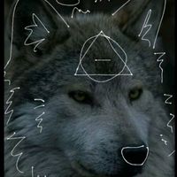 wolfmoonlight01
